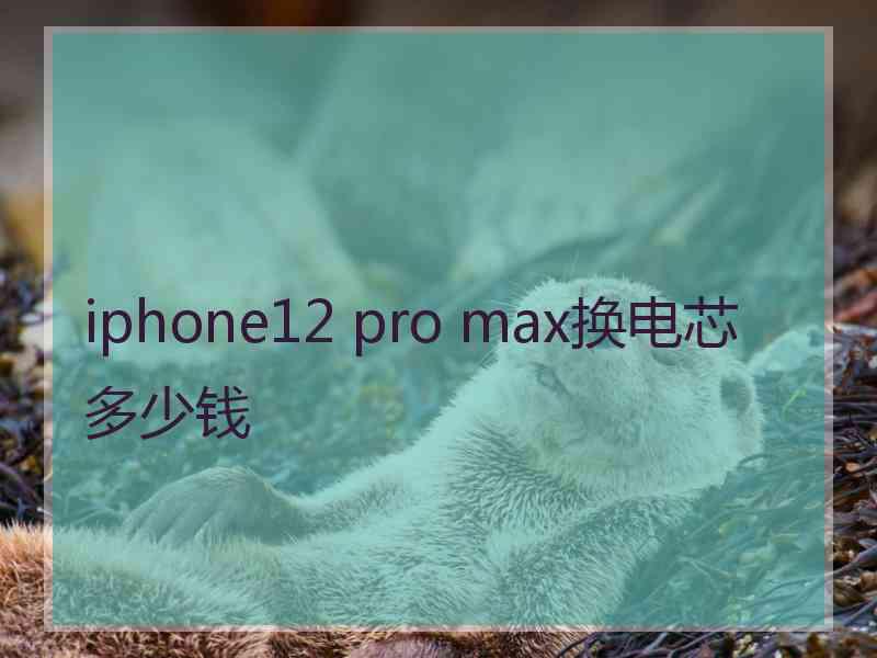 iphone12 pro max换电芯多少钱