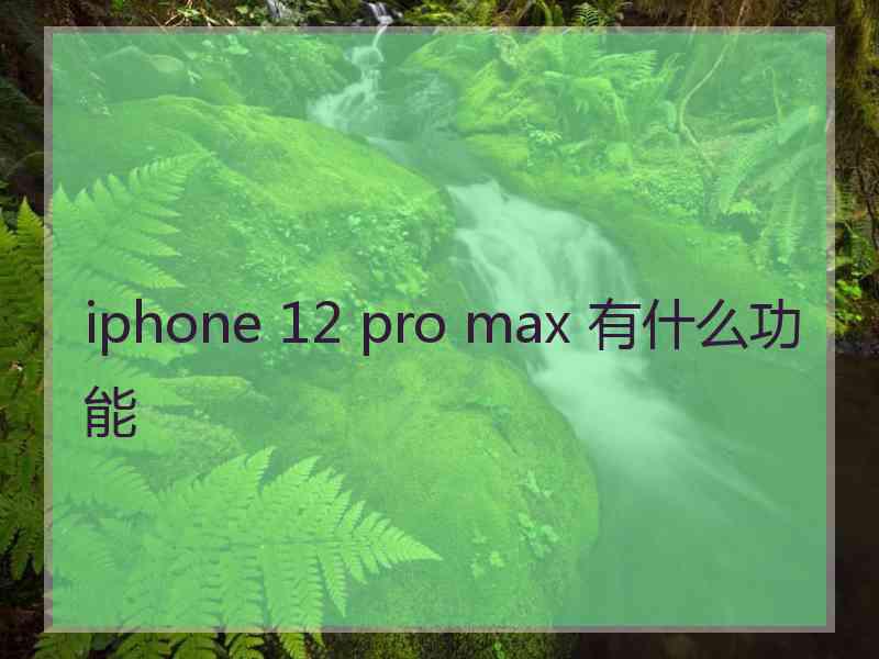 iphone 12 pro max 有什么功能