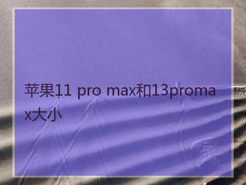 苹果11 pro max和13promax大小