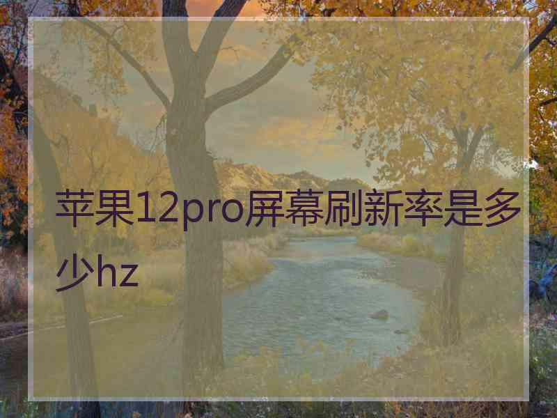 苹果12pro屏幕刷新率是多少hz