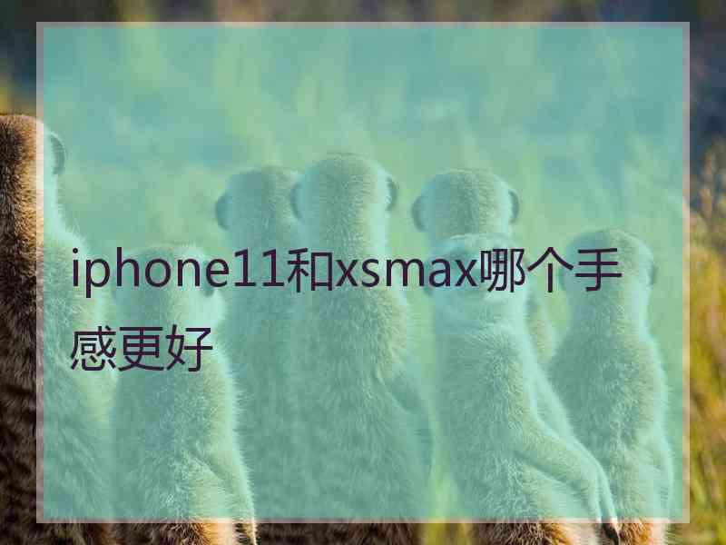 iphone11和xsmax哪个手感更好