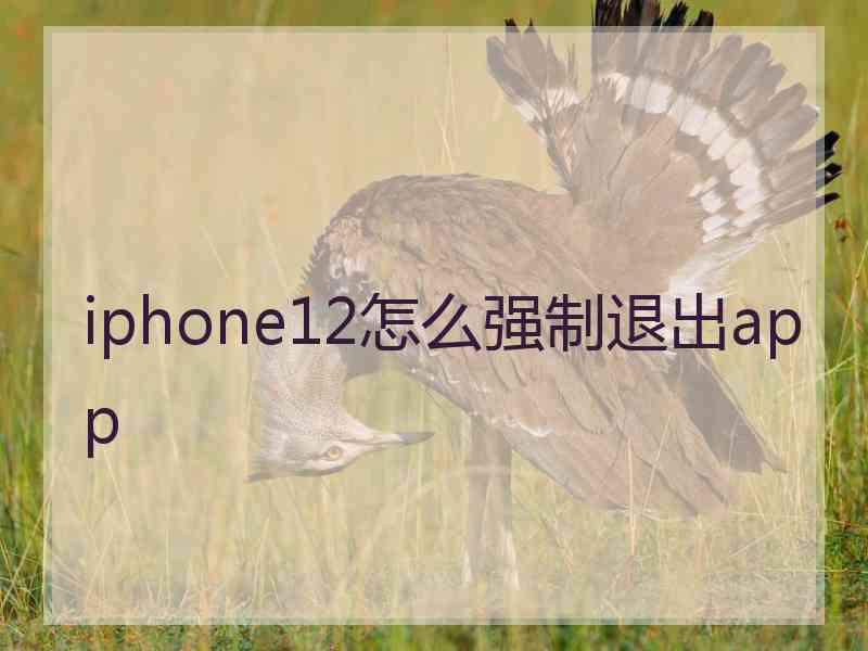 iphone12怎么强制退出app