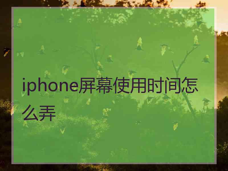 iphone屏幕使用时间怎么弄