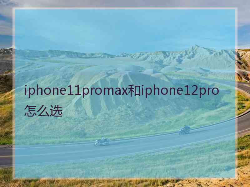 iphone11promax和iphone12pro怎么选