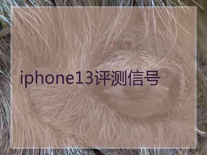 iphone13评测信号