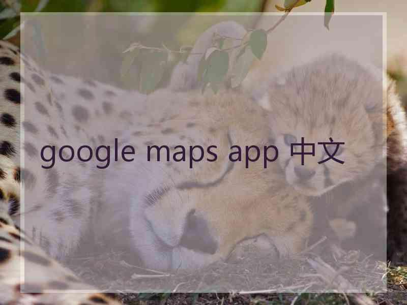 google maps app 中文