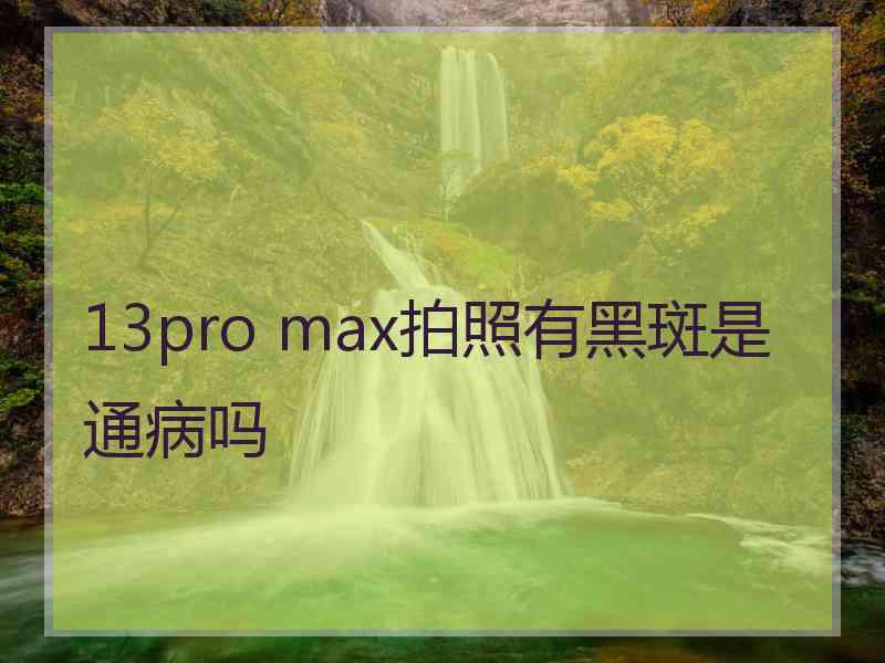 13pro max拍照有黑斑是通病吗