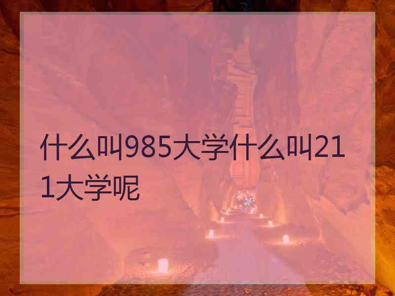 什么叫985大学什么叫211大学呢