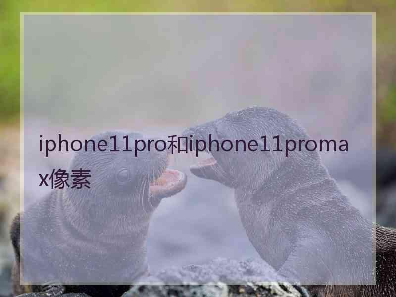 iphone11pro和iphone11promax像素