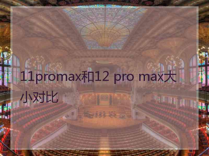 11promax和12 pro max大小对比