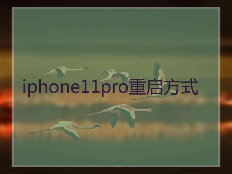 iphone11pro重启方式