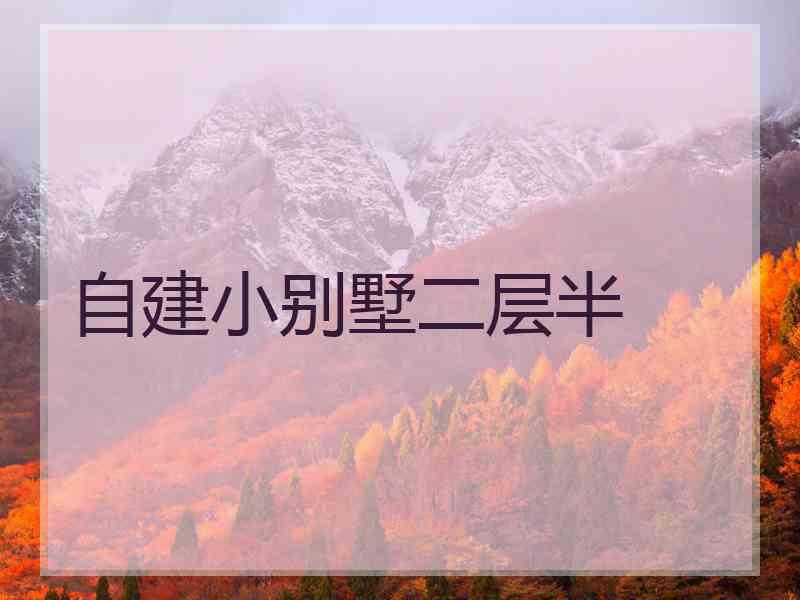 自建小别墅二层半