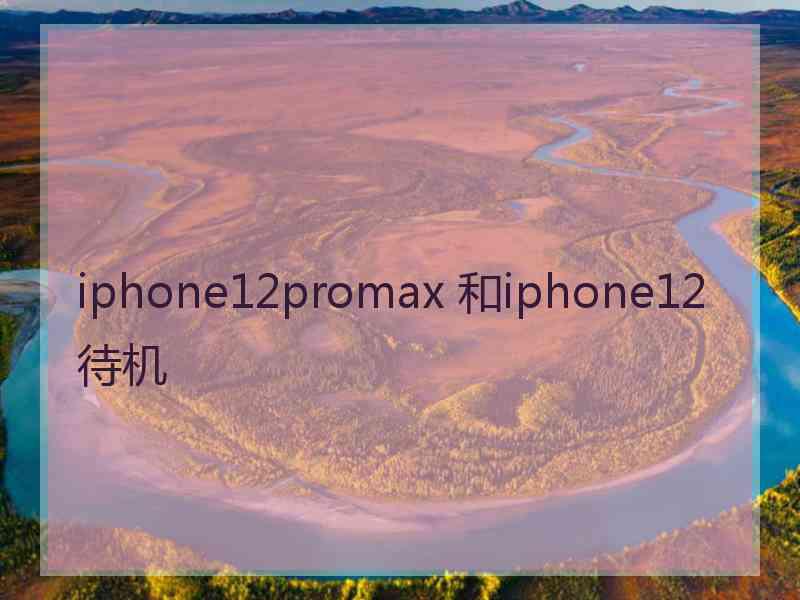 iphone12promax 和iphone12待机