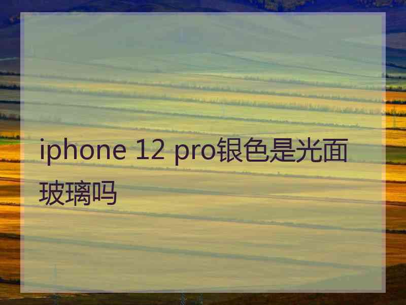 iphone 12 pro银色是光面玻璃吗