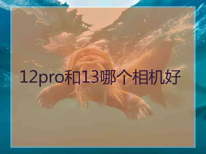 12pro和13哪个相机好