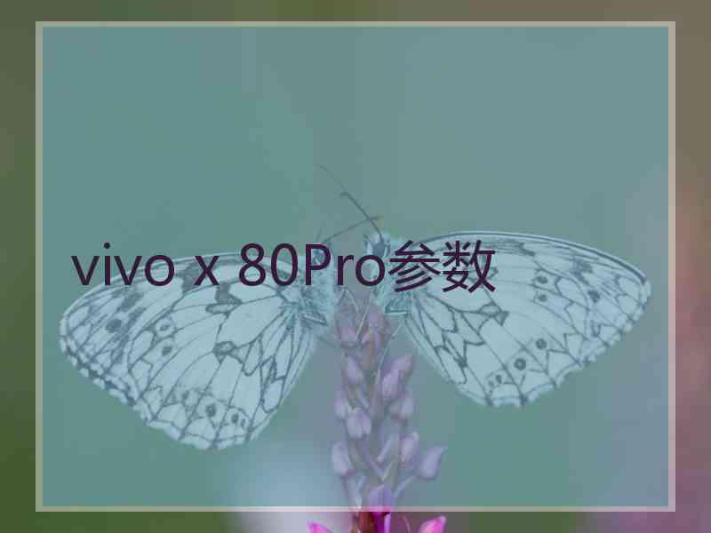 vivo x 80Pro参数