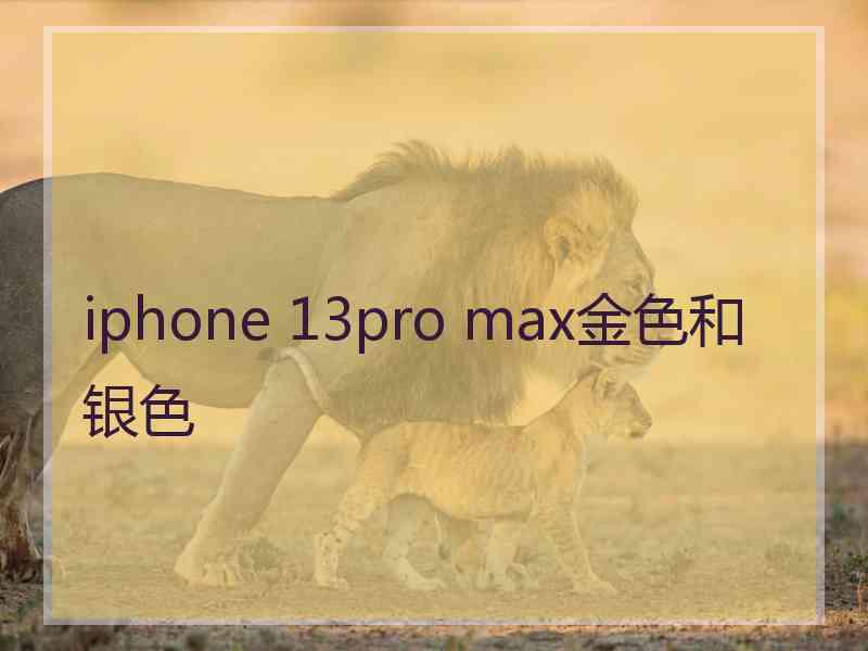 iphone 13pro max金色和银色