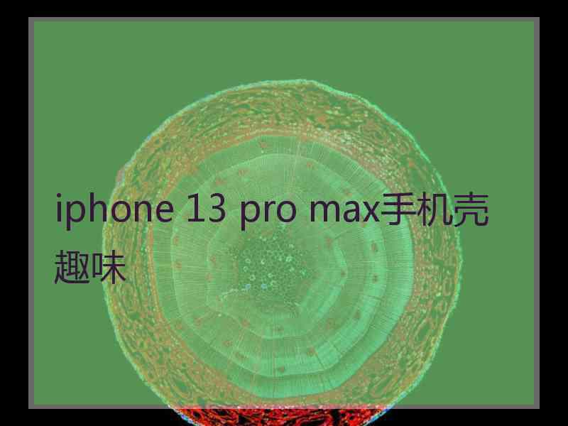 iphone 13 pro max手机壳趣味