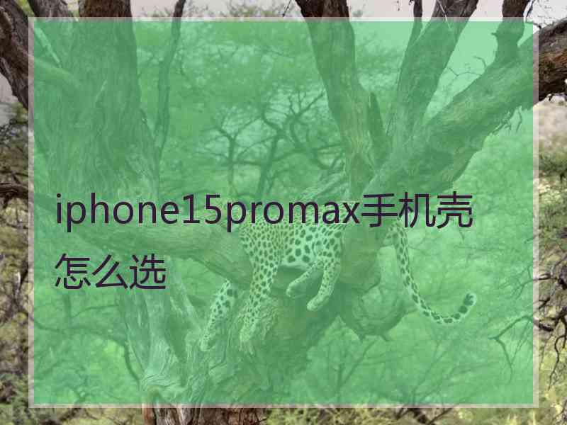 iphone15promax手机壳怎么选