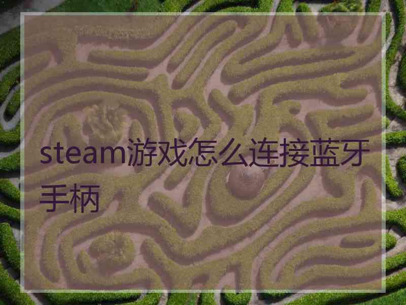 steam游戏怎么连接蓝牙手柄