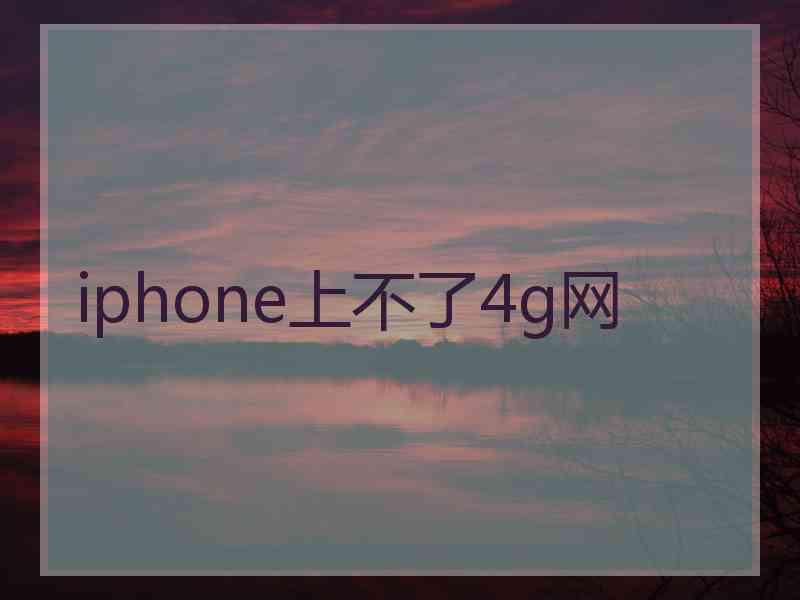 iphone上不了4g网