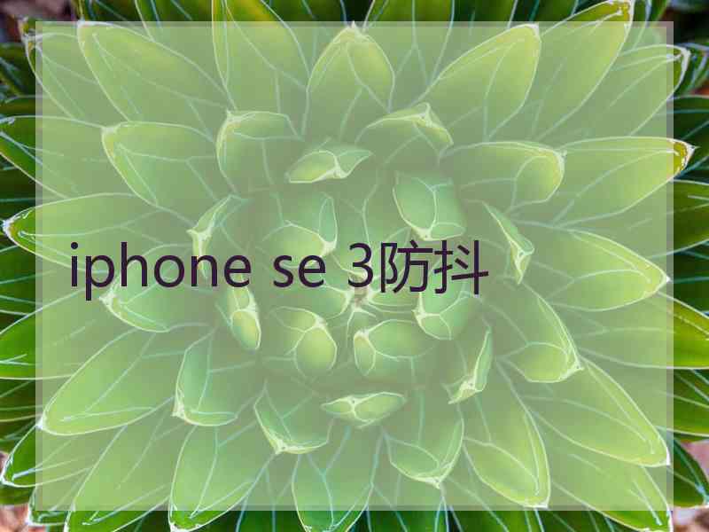 iphone se 3防抖