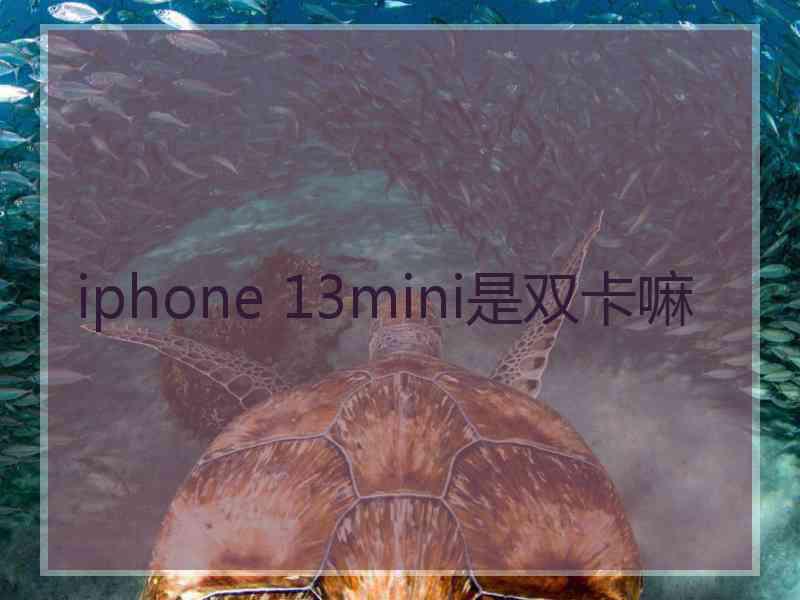 iphone 13mini是双卡嘛