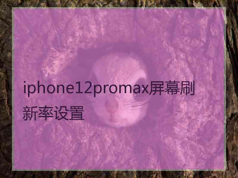 iphone12promax屏幕刷新率设置