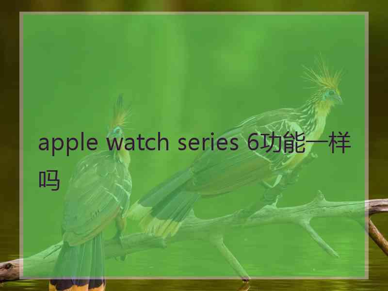 apple watch series 6功能一样吗