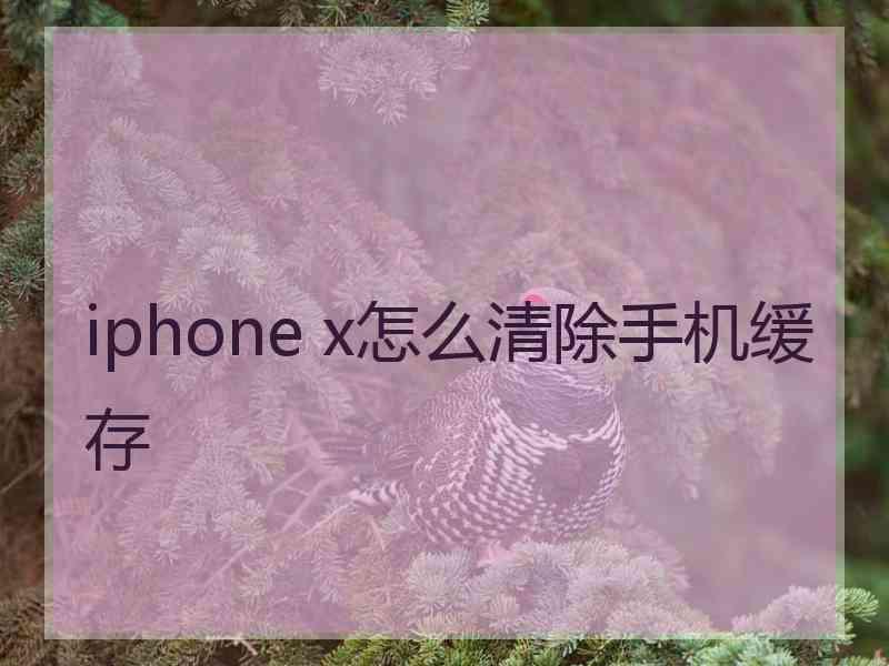 iphone x怎么清除手机缓存