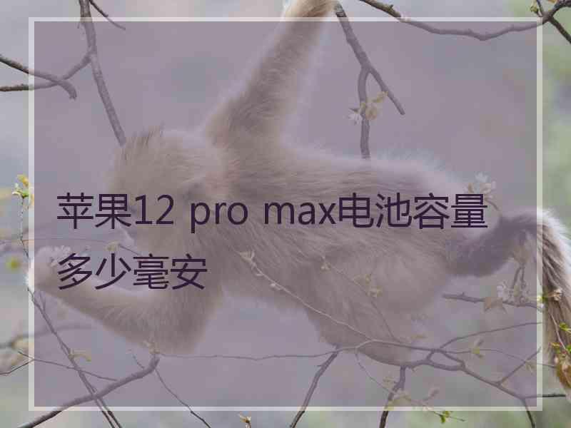 苹果12 pro max电池容量多少毫安