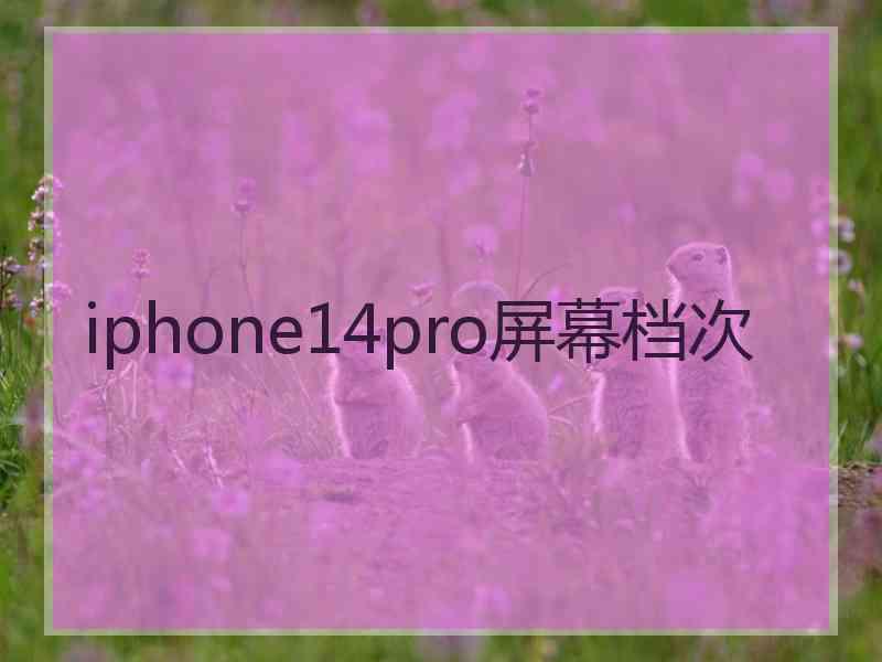 iphone14pro屏幕档次