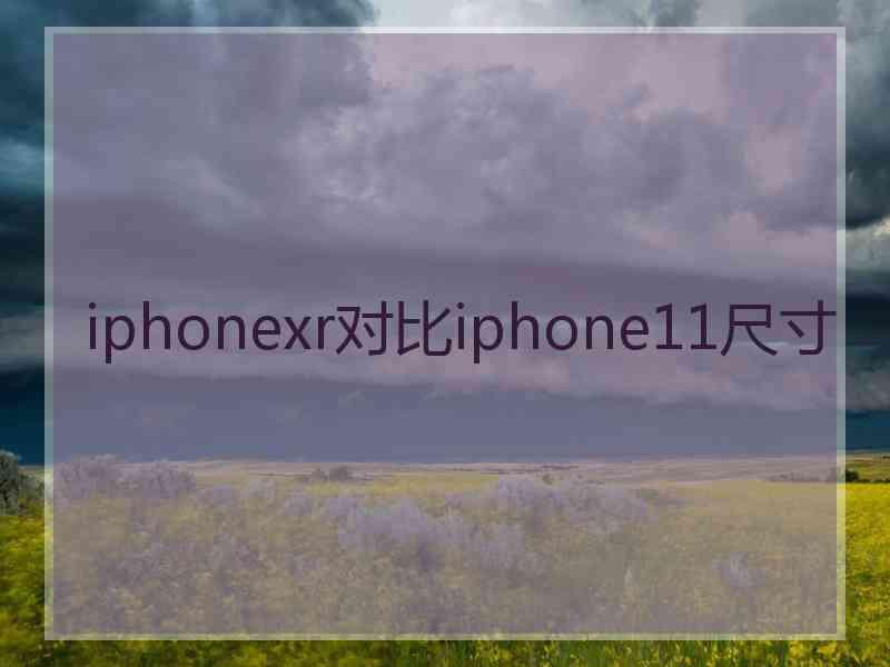 iphonexr对比iphone11尺寸