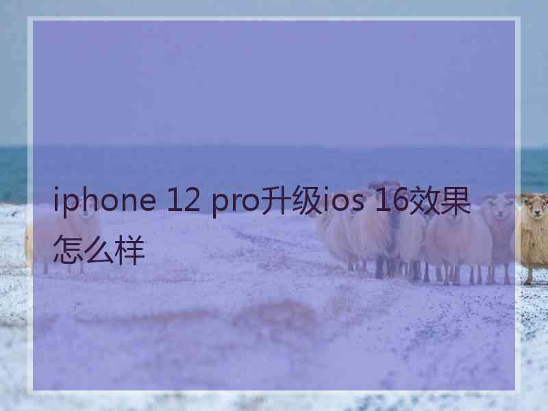 iphone 12 pro升级ios 16效果怎么样