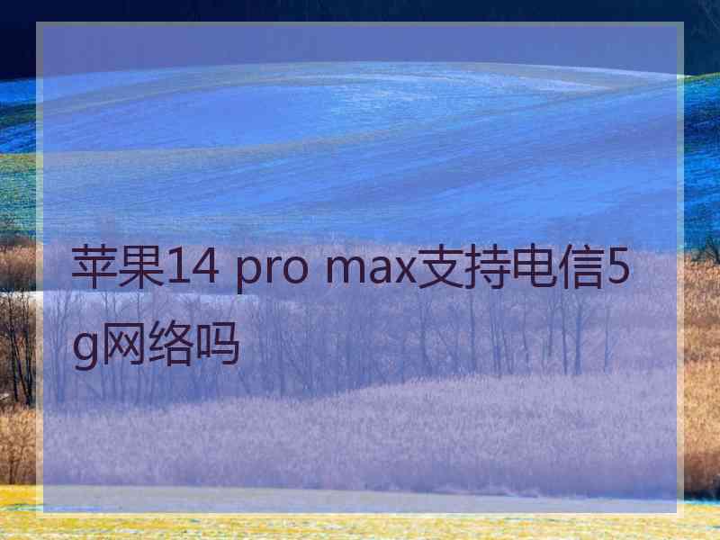 苹果14 pro max支持电信5g网络吗