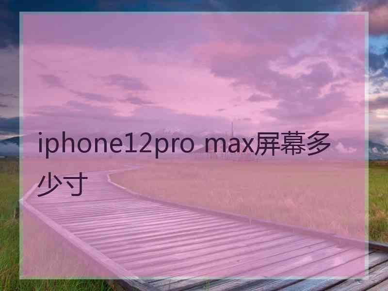 iphone12pro max屏幕多少寸