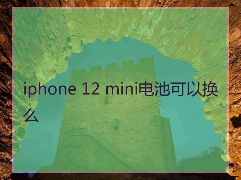 iphone 12 mini电池可以换么