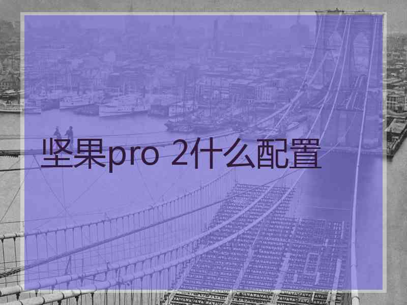 坚果pro 2什么配置