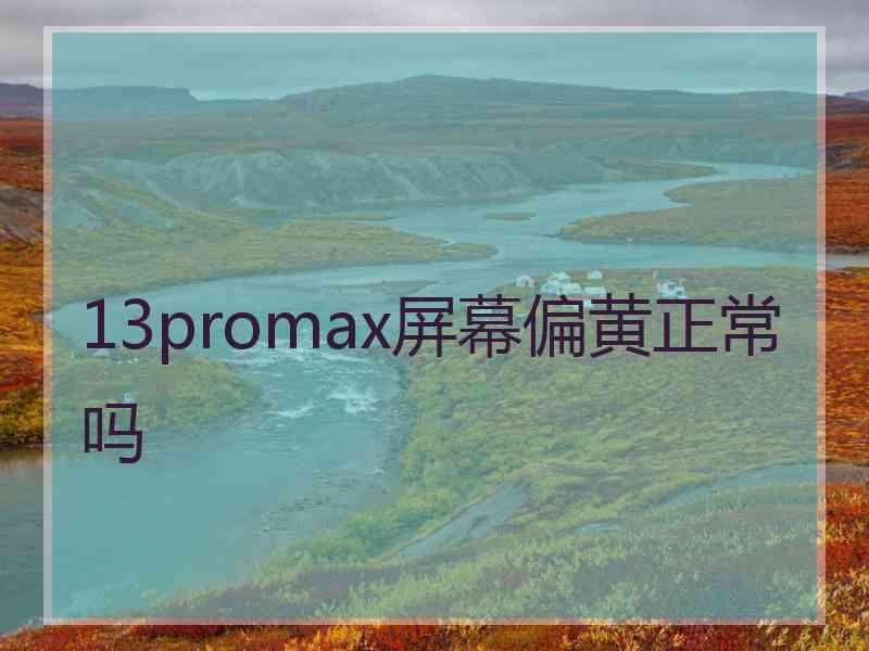 13promax屏幕偏黄正常吗