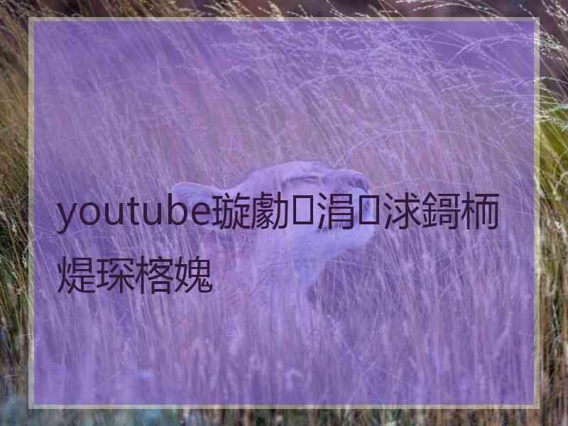 youtube璇勮涓浗鎶栭煶琛楁媿