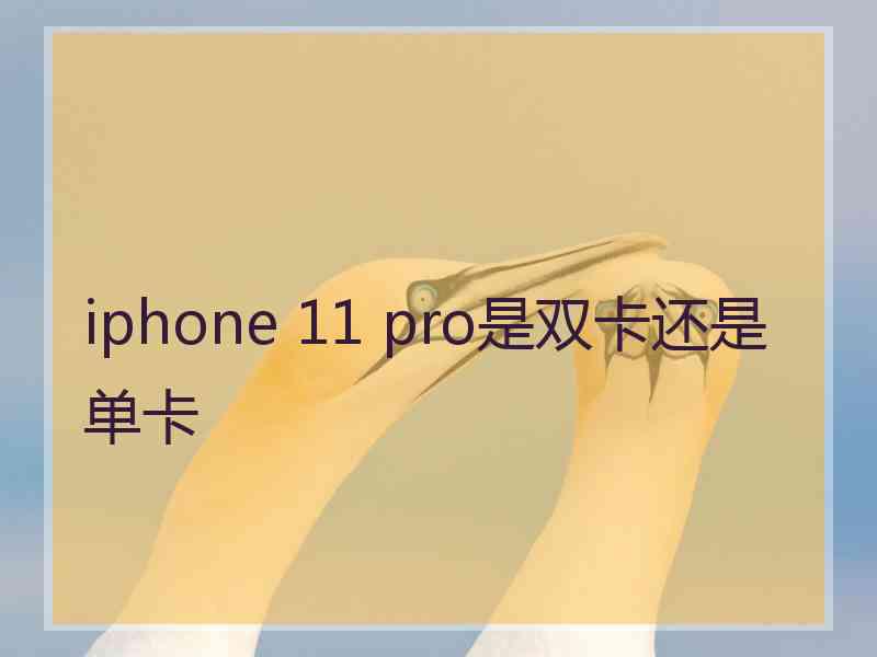 iphone 11 pro是双卡还是单卡