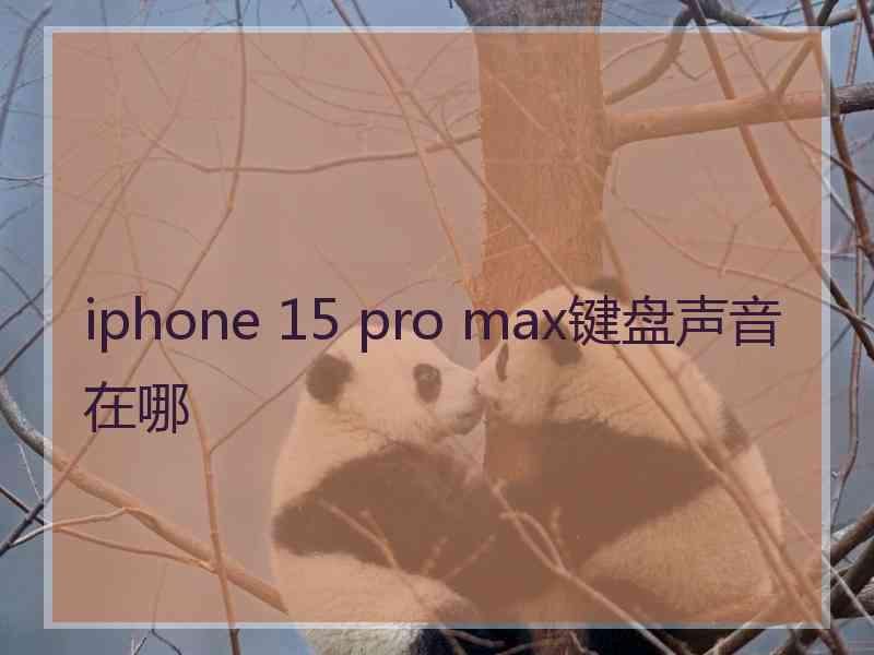 iphone 15 pro max键盘声音在哪