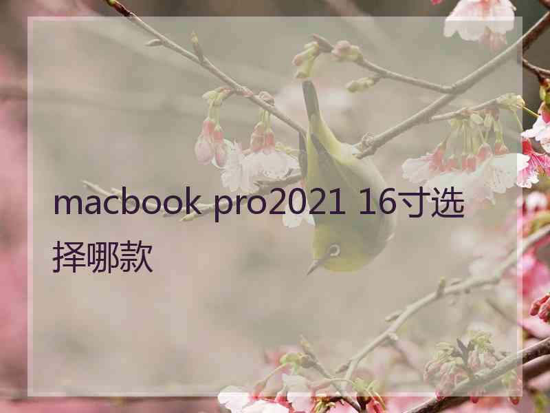 macbook pro2021 16寸选择哪款