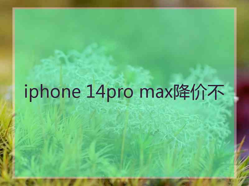 iphone 14pro max降价不