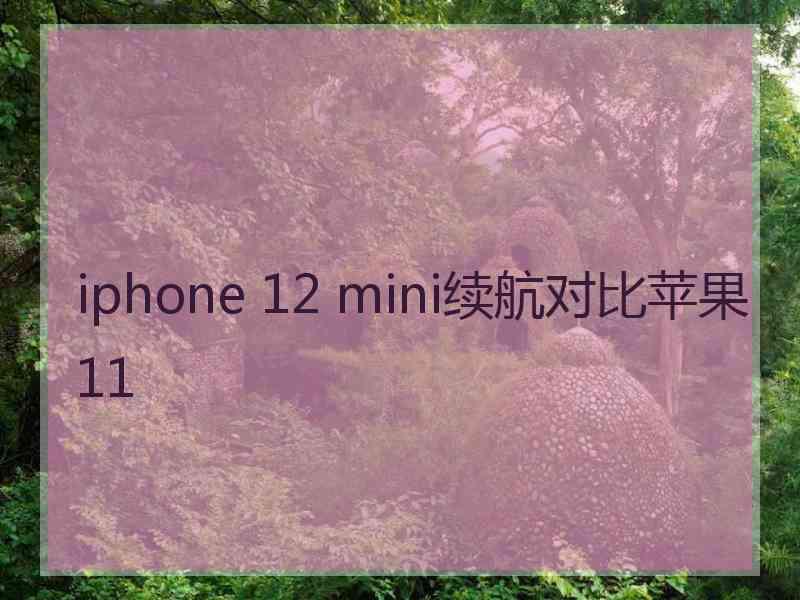 iphone 12 mini续航对比苹果11