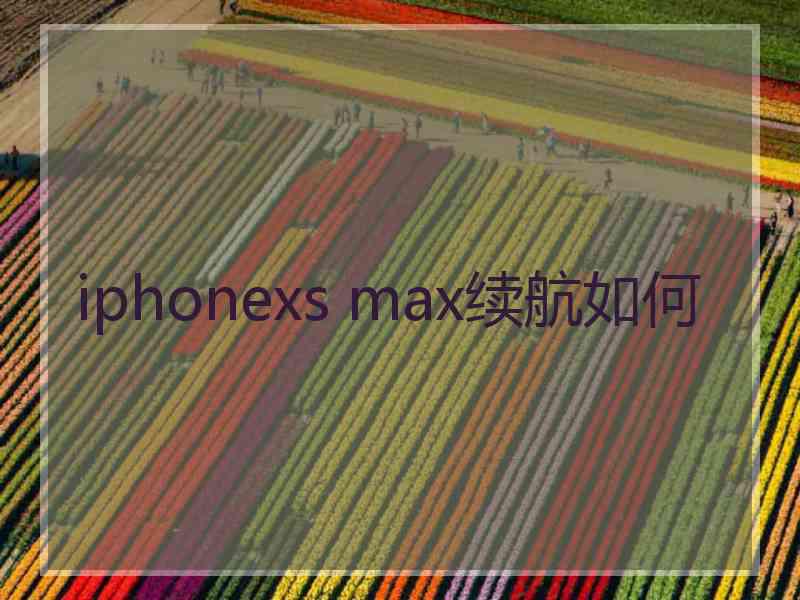 iphonexs max续航如何