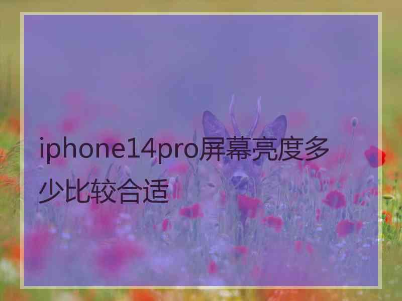 iphone14pro屏幕亮度多少比较合适