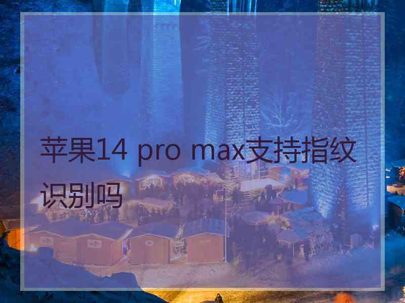 苹果14 pro max支持指纹识别吗