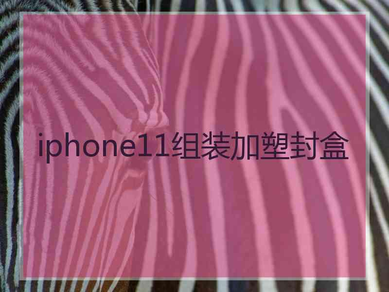 iphone11组装加塑封盒