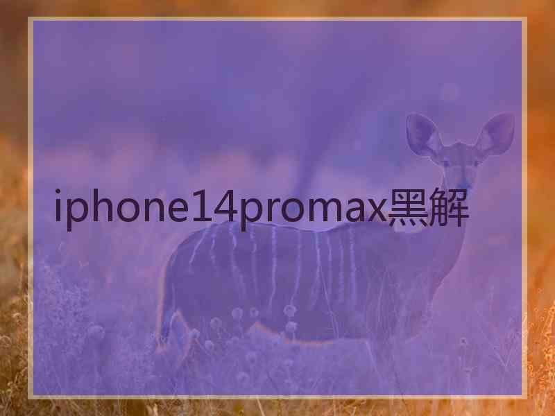 iphone14promax黑解